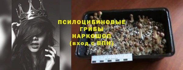 гидропоника Алзамай