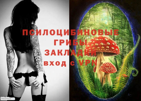 кокаин колумбия Алексин