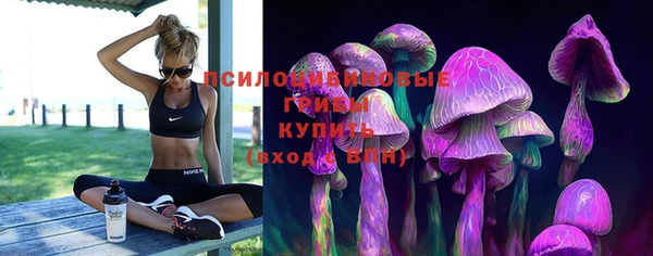 гидропоника Алзамай