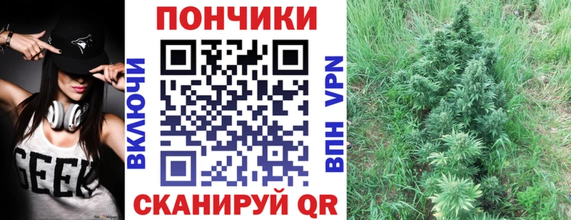 цены наркотик Сосенский blacksprut ССЫЛКА Канабис план